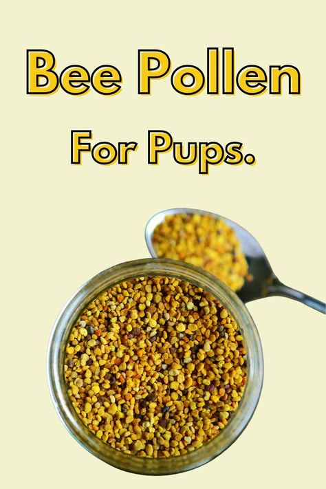 Bee Pollen For Allergies, Bee Pollen For Dogs, Recipes With Bee Pollen, How To Use Bee Pollen, Bee Pollen How To Eat, Bee Pollen Recipes, Bee Pollen Benefits, Dog Meds, Homemade Salve