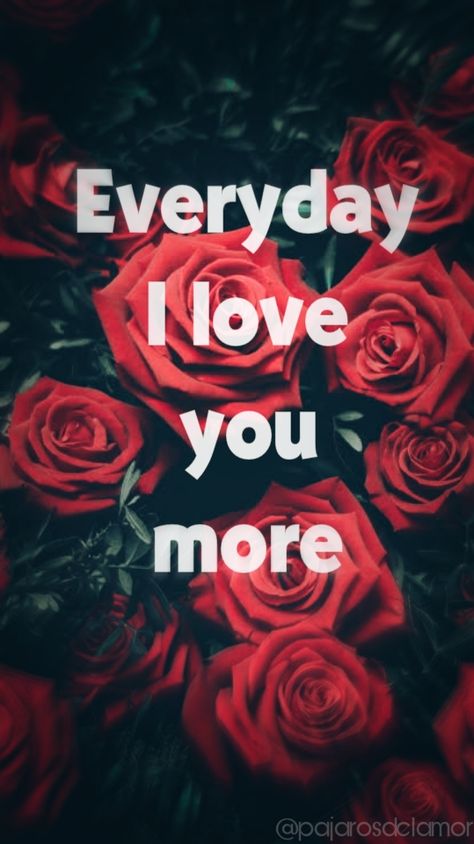 everyday i love you more❤️ #like #save #pin #follow #share #rosewallpaper #him #her #them #couple #love #relationshipgoals #relationshipquotes #pajarosdelamor I Love You Handsome, Good Night I Love You, I Do Love You, Hello My Love, Hello Hello, March 5, Future Wife, Couple Quotes, Romantic Love Quotes