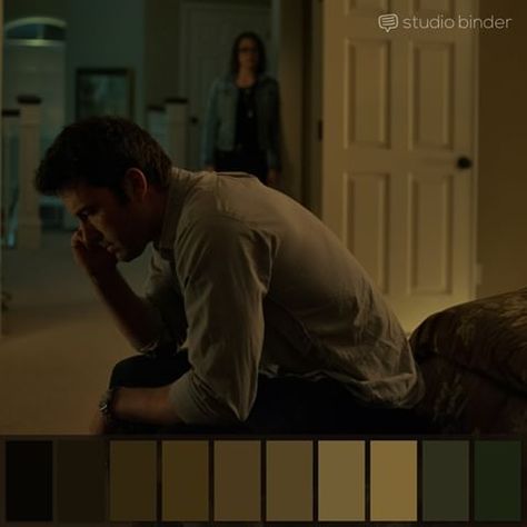 Fincher Cinematography, Directed By David Fincher, David Fincher, Gone Girl, Cinematography, Color Palettes, Color Palette, Tap, Dogs