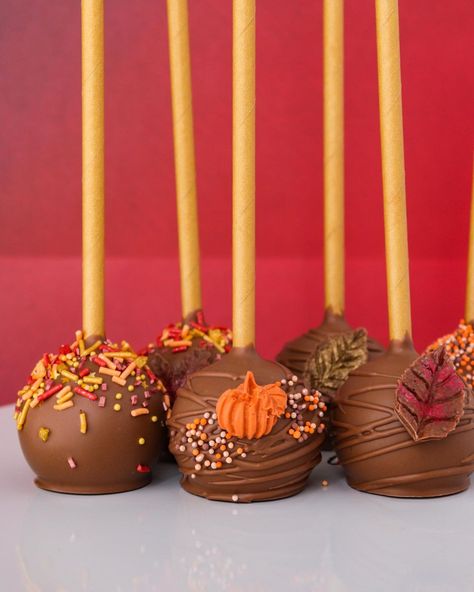 Bree Bakes on Instagram: “Fall 🍂🍁🤎 Triple chocolate cake pops with: —@fancysprinkles on the left —@layercakeshop in the center What are you up to this weekend??…” Cake Pops Thanksgiving, Fall Wedding Desserts, Thanksgiving Cake Pops, Fall Cake Pops, Thanksgiving Food Crafts, Creative Sweets, Pumpkin Cake Pops, Cook Ideas, Pumpkin Show