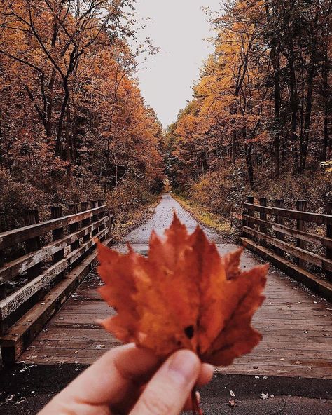 Srinagar Kashmir, I Love New York, Classic Halloween, Saratoga Springs, Srinagar, Hocus Pocus, Fall Vibes, Landscape Photography, Springs