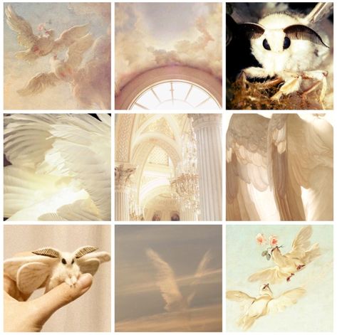 angel, Moth, insect, aesthetic, mood board Mood Board Colors, Bright Light Aesthetic, Albedo Moodboard, Angel Colour Palette, Angelic Color Palette, Angelcore Color Palette, Angelic Moodboard, Angel Aesthetic Color Palette, Angelcore Moodboard