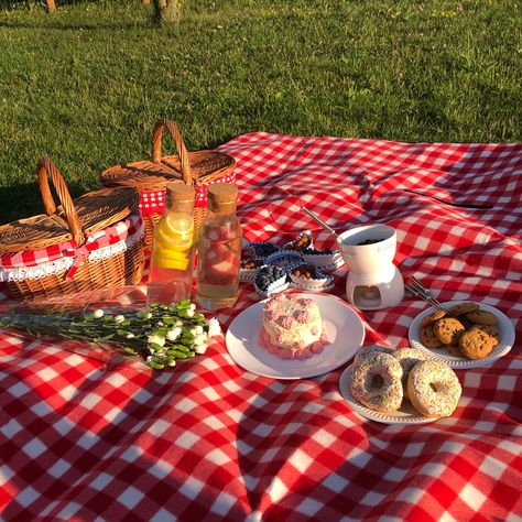 Cute Picnic Date Ideas Romantic, Cute Picnic Date Ideas, Picnic Date Ideas, Picnic Pictures, Pink Picnic, Cute Picnic, Small Birthday Cakes, Picnic Theme, Picnic Inspiration