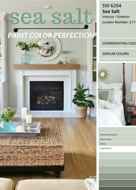 Why I love Sherwin Williams Sea Salt Paint Color! Sea Salt Paint Color, Salt Paint, Sea Salt Paint, Sherwin Williams Sea Salt, Most Popular Paint Colors, Sea Salt Sherwin Williams, Interior Paint Colors Schemes, Room Paint Colors, Bohemian Living