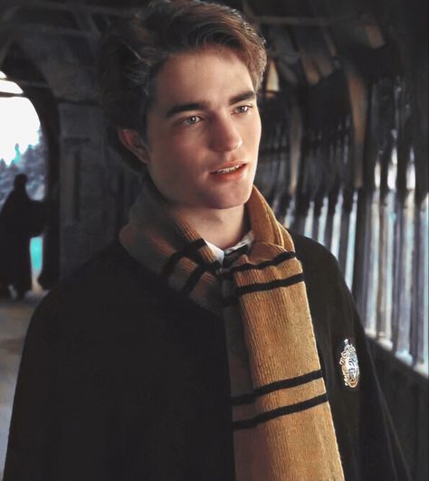 Cedric Diggory Aesthetic, Hufflepuff Aesthetic, Oliver Wood, Harry Potter Icons, The Goblet Of Fire, Hogwarts Aesthetic, Goblet Of Fire, Cedric Diggory, Harry Potter Cast