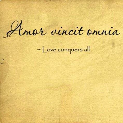 Love conquers all in Italian Words Love, Love Conquers All, Great Tattoos, Pattern Tattoo, Love Tattoos, The Words, New Tattoos, Great Quotes, Beautiful Words