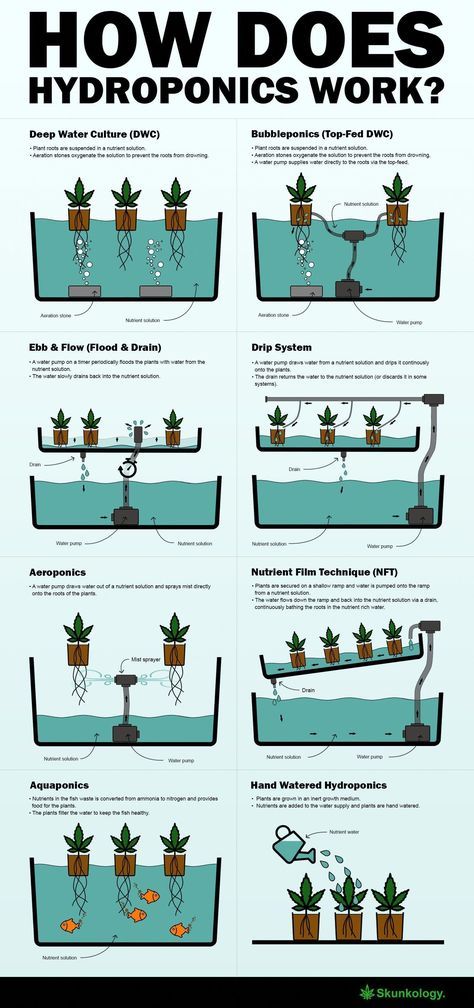 Insecure People, Aquaponics Diy, Film Technique, Hydroponic Farming, Hydroponics Diy, Aquaponic Gardening, Drip System, Hydroponic Growing, Grow Plants