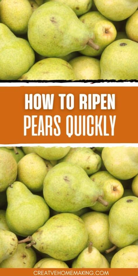 How To Ripen Pears Quickly, How To Ripen Pears, Pear Varieties, Dried Pears, Ripe Pears, Canned Pears, Bartlett Pears, Fruit And Vegetable Storage, Red Pear