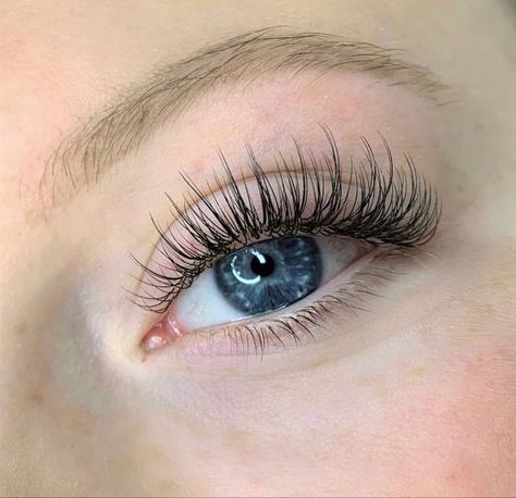 Color Lash Extensions, Classic Eyelash Extension, Eyelash Extensions Classic, Natural Fake Eyelashes, Semi Permanent Eyelashes, Permanent Eyelashes, Lashes Fake Eyelashes, How To Grow Eyelashes, Lash Extensions Styles