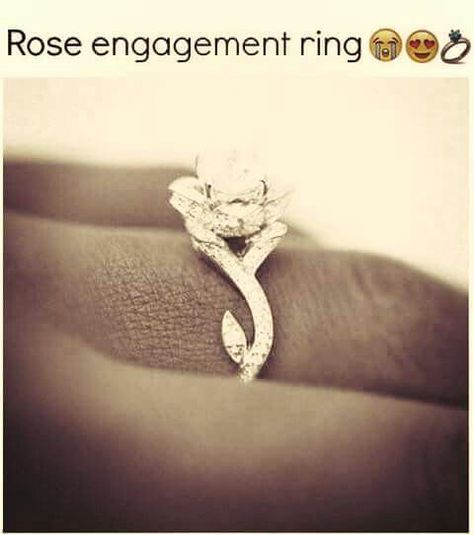 Luv Beautiful Wedding Rings, Rose Engagement Ring, Disney Wedding, Put A Ring On It, Dream Ring, Preston, The Words, Beauty And The Beast, Ring Verlobung