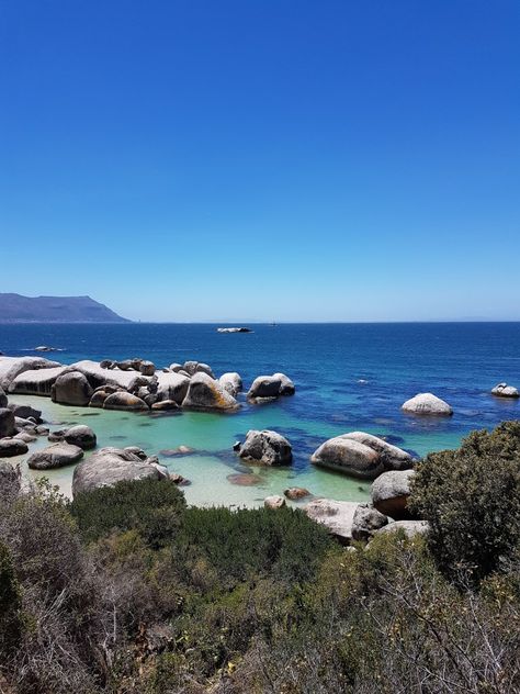 Boulder's Beach, a praia dos pinguins perto da Cidade do Cabo na África do Sul. #southafrica #africadosul #bouldersbeach Waka Waka, Africa Do Sul, Cape Town, South Africa, Travel Tips, Around The Worlds, Mural, Architecture, Feelings