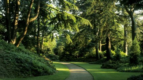 Biddulph Grange Gardens, Pinterest Garden, Estate Garden, Victorian Garden, Garden Entrance, Garden Landscape Design, National Trust, Farm Gardens, Nature Aesthetic