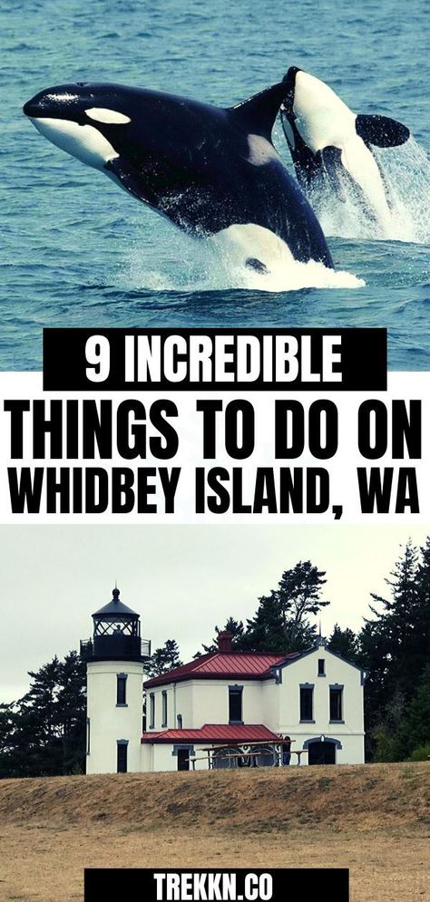 Whidbey Island Washington, Pacific Northwest Travel, Washington State Travel, Washington Travel, Hiking Photography, San Juan Island, Adventure Inspiration, Pacific Nw, Whidbey Island