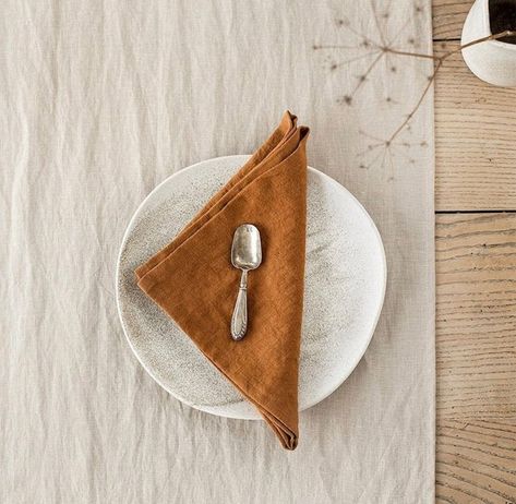 Cinnamon cotton napkin napkins, orange cloth napkins, terracotta cotton napkins, reusable napkins, wedding napkins, washed cotton napkins Cinnamon Color, Linen Sheet Sets, Linen Duvet Covers, European Linens, Table Napkins, Pink Linen, Linen Table Runner, Cotton Napkins, Linen Napkins