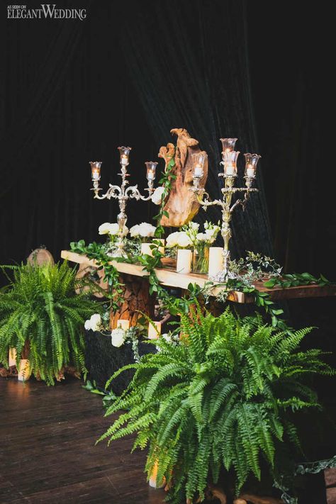 Hanging Fern Wedding Decor, Wedding Decor Live Plants, Fern Flower Arrangements Wedding, Wedding Decor Ferns, Fern Wedding Ceremony, Boston Fern Wedding Decor, House Plant Wedding Decor, Ferns Wedding Decor, Fern Centerpiece Wedding