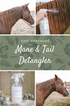 The Prairie Homestead, Prairie Homestead, Diy Horse Barn, Horse Braiding, Fly Spray, Horse Care Tips, Horse Mane, Horse Tail, Horse Training Tips