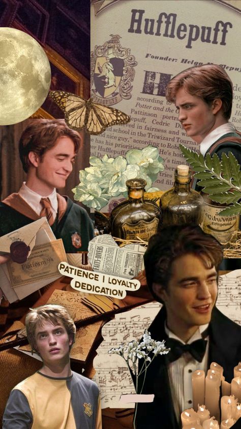 #harrypotter #hufflepuff #moodboard #aesthetic #vintage #books Hufflepuff Moodboard, Hufflepuff Bedroom, Bedroom Aesthetic Vintage, Triwizard Tournament, The Goblet Of Fire, Moodboard Aesthetic, Cedric Diggory, Goblet Of Fire, Bedroom Aesthetic