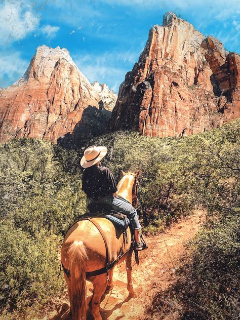 Horseback Riding in Zion National Park Utah Itinerary, Southwest Photography, Seven Magic Mountains, Desert Aesthetic, Utah Road Trip, Utah Hikes, Utah Travel, Valley Of Fire, Southwest Desert