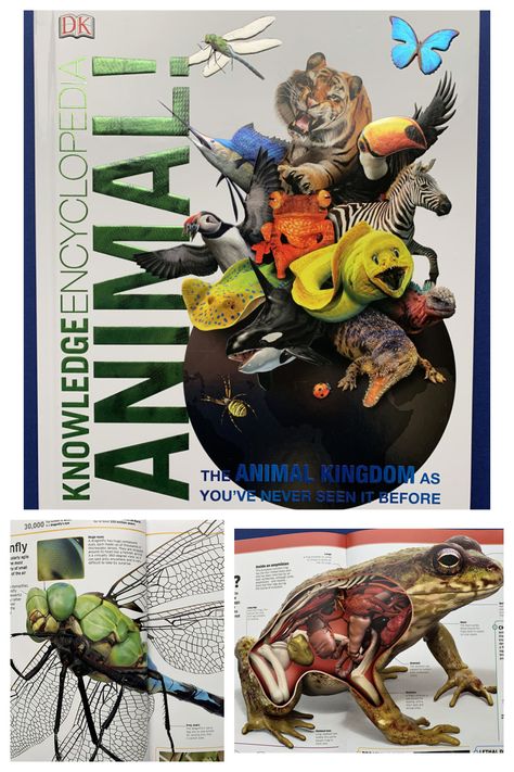 Knowledge Encyclopedia Animals. Filled with incredible pictures and lots of facts.  The ultimate animal books for slightly older kids Animal Book Cover, Animal Encyclopedia, Book For Christmas, Dk Books, Incredible Pictures, Tropical Animals, Animal Book, Magazines For Kids, Animal Facts