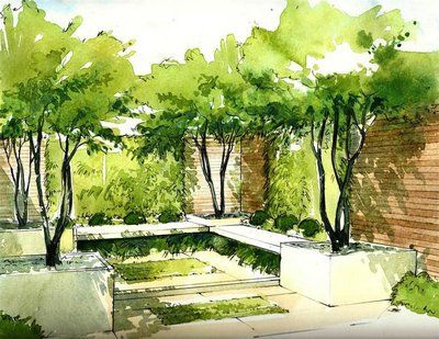 Helen Thomas Croquis Architecture, Landscape Design Drawings, Landscape Architecture Drawing, Garden Drawing, Landscape Sketch, Architecture Graphics, Landscape Design Plans, Interior Sketch, Landscape Architecture Design