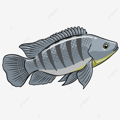 tilapia fish vector Fish Images Clip Art, Tilapia Drawing, Fish Tilapia, Fish Clip Art, Fish Image, Fish Images, Fish Png, Fish Cartoon, Tilapia Fish