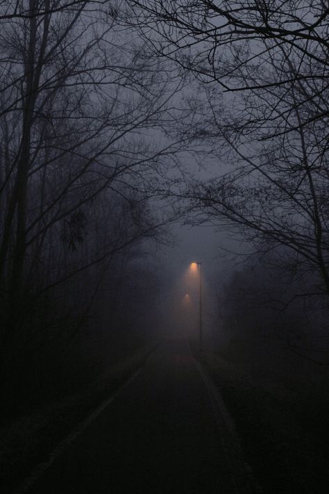 Tcfsr Aesthetic, Dark Trees Aesthetic, Fairy Grunge Aesthetic, Dark Naturalism, Foggy Weather, Smell Of Rain, Dark Tree, Bike Trail, Forest Road