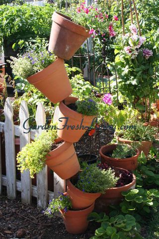 PotTowerwtmk Stacked Flower Pots, Terra Cotta Pots Garden, Garden Display, Terra Cotta Pot Crafts, Flower Tower, Diy Flower Pots, Pot Ideas, Herb Planters, Clay Pot Crafts