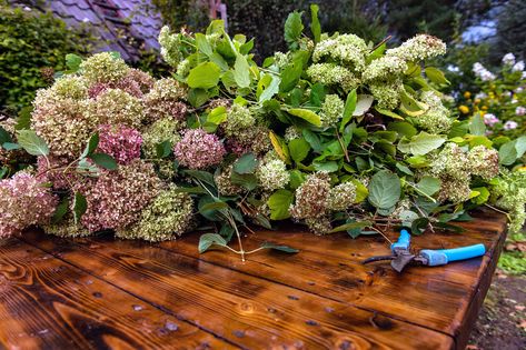 Should I cut back hydrangeas in the fall? Expert advice for perfect blooms | When To Prune Hydrangeas, Bobo Hydrangea, Mophead Hydrangea, Hydrangea Tree, Types Of Hydrangeas, Smooth Hydrangea, Fall Clean Up, One Mistake, Panicle Hydrangea