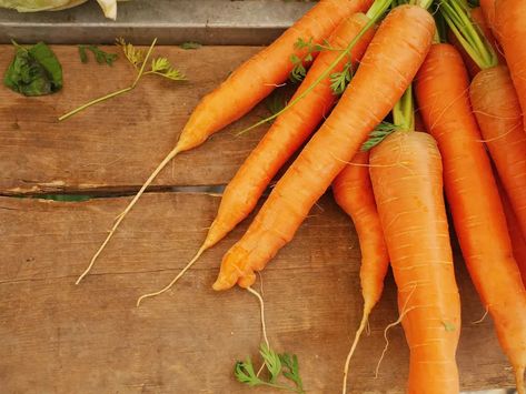 10 Steps for Dehydrating Carrots Dehydrating Carrots, Dehydrated Carrots, Carrots In Oven, Dried Apple Chips, Canning Pressure Cooker, Dehydrating Food Storage, Dehydrated Apples, Regrow Vegetables, Carrot Dogs