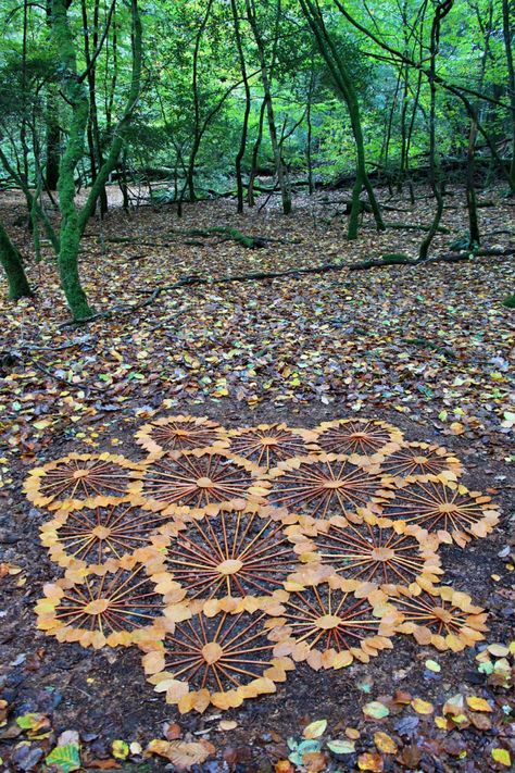 Landart Ideas, Labyrinth Garden, Nature Mandala, Ephemeral Art, Earth Art, Nature Collection, Forest Art, Nature Activities, Nature Crafts