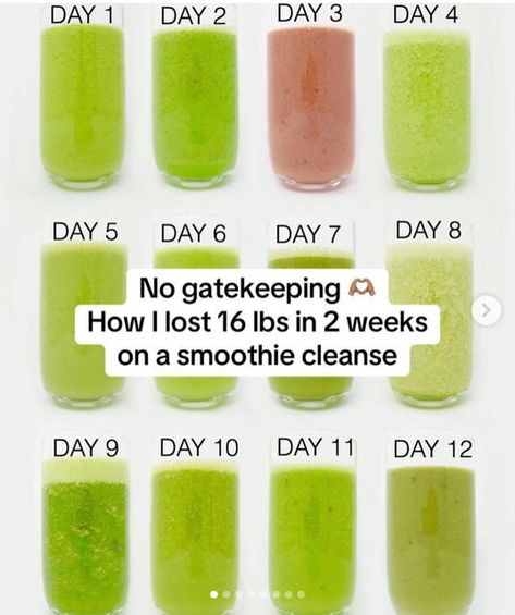 SMOOTHIE SLIM DETOX 2023 🇺🇸 on Instagram: "🔐Save this for your New Year detox🫢💚 The best place to start is with Smoothie Diet in 21 Days Plan. Although there are other programs that can help you lose weight,But I am ensure that, the Smoothie Diet Plan in 21 Days very user friendly and can provide you with recipes that help you lose weight fast. Most of my clients report having lost about 14 to 20 pounds in about 3 weeks. This shows how powerful the program actually is. Check the LINK 🔗 in my bio (👉 @smoothiesnice ) and take the 21-Day Smoothie Diet Challenge TODAY if you want more AMAZING smoothie recipes like THIS! 😍⁣ ⁣. Follow us 👉 @smoothiesnice for more Smoothie recipes and healthy tips every day 🧡🧡" Smoothie Diet 21 Day Program, Smoothie Diet 30 Days, 21 Day Smoothie Diet Plan Free Pdf, 30 Day Smoothie Challenge, Smoothie Diet Plan 7 Day, New Years Detox, Amazing Smoothie Recipes, Smoothie Diet 21 Day, Smoothie Diet Plan