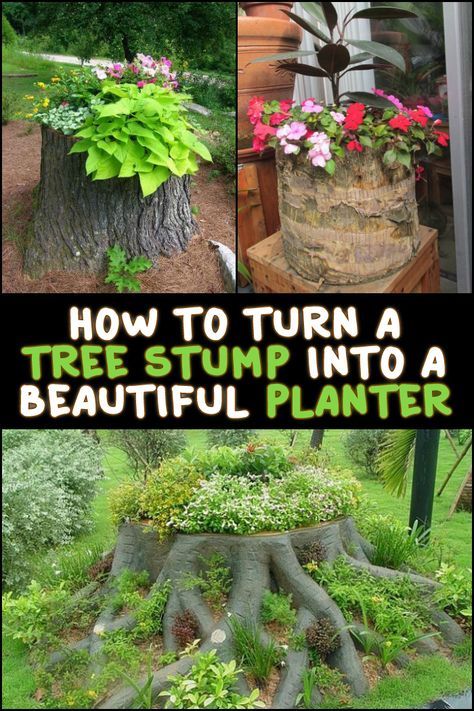 Removing tree stumps can be very difficult. If it's not necessary to get rid of them, why not turn them into planters instead? Be inspired by these examples we have for you... Tree Branch Stump Ideas, Tree Trunk Ideas Outdoor Backyards, Growing Plants In Tree Stumps, Yard Planters Ideas, Decorating Tree Stumps In Yard, Tree Stump Ideas Outdoor, Removing Tree Stumps, Tree Stump Ideas, Stump Garden