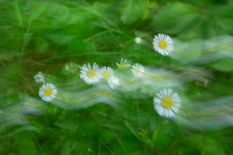 Long Exposure Photography Ideas, Blur Picture, Shutter Speed Photography, Long Exposure Photos, Blur Photography, Shutter Photography, Double Exposure Photography, Motion Photography, Time Lapse Photography