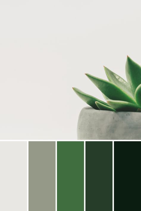 Color Palettes: Potted Plants - This Growing Home Green Color Palette Business, Plant Colour Palette, Plant Palette, Plant Color Palette, Toxic Green Color Palette, Color Pallets Green Nature, Color Pad, Winter Color Palette, Spring Color Palette