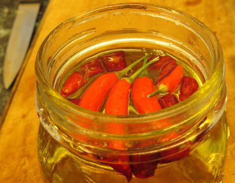 Preserving Chilli at Home: Chilli Weather | Rediscover Chilli Plant, Chilli Oil, Stick Insect, Chilli Pepper, Infused Oils, Back To Life, Hot Pot, Pickles, At Home