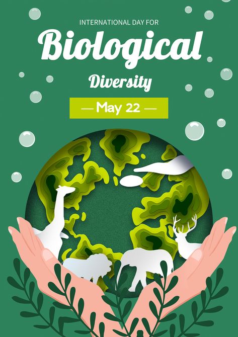 Bio Diversity Poster, Biological Diversity Poster, Biodiversity Poster Drawing, Biodiversity Poster Ideas, Eco Poster Design, Poster About Nature, Biodiversity Poster, Biodiversity Day, Bio Diversity