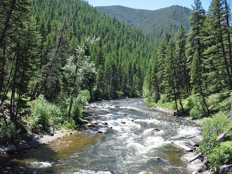 Philipsburg Montana, Dream Water, Fly Fishing Art, Montana Travel, Trout Fishing Tips, Rock Creek, The Mountains Are Calling, Usa Travel Destinations, Trout Fishing