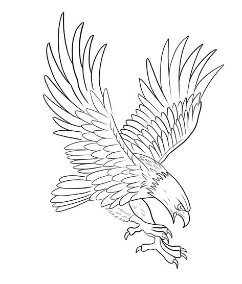 Eagle Flying Tattoo, Flying Tattoo Ideas, Eagle Outline, Geometric Tattoo Hand, Alas Tattoo, Lion Art Tattoo, Jagua Tattoo, Eagle Flying, On Tattoo