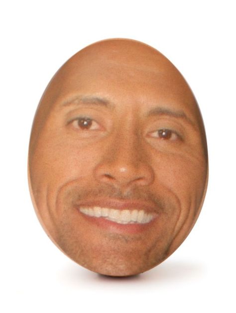 Egg rock Egg Faces, Egg Meme, Egg Rock, Brown Egg, Funny Eggs, Brown Eggs, Rock Face, Anime Lover, Perfect Word