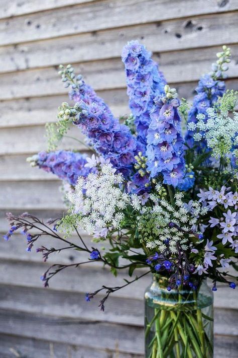 16 Stunning Summer Wedding Flowers---dusty blue delphiniums wedding centerpieces,diy wedding reception decorations, summer outdoor garden weddings, beach weddings, tropical weddings Blue Delphinium Wedding, Blue Flower Centerpieces, Delphinium Bouquet, Blue Flower Arrangements, Bouquet Champetre, Purple Centerpieces, Delphinium Flowers, Blue Delphinium, Blue And Purple Flowers