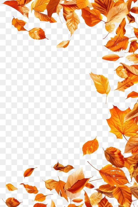 Autumn Leaves Border Design, Leaves Blowing In The Wind, Petals Falling, Fall Leaves Png, Flowers Border, Autumn Png, Free To Use Images, Leaves Autumn, Autumn Flowers