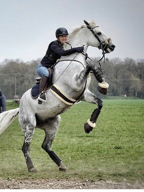 Rearing Horse With Rider, Horse Bucking With Rider, English Horseback Riding, Horse Markings, Horse Rearing, Show Jumping Horses, Equestrian Aesthetic, Eventing Horses, English Horse