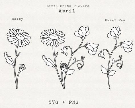 Daisy SVG Sweet Pea SVG April Birth Month Flower SVG April | Etsy Daisy And Sweet Pea Bouquet Tattoo, Sweat Pea Tattoo, April Birth Month Flower, Birth Month Flower Svg, Sweet Pea Tattoo, April Birth Month, Sweet Pea Flower, Daisy Svg, Father Tattoos