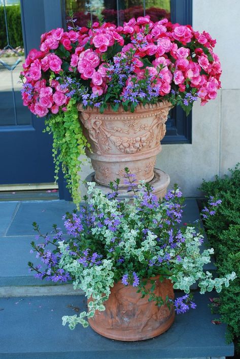 Coleus comes in a variety of vibrant colors and can tolerate shade well.
Impatiens: These annual flowers are great for adding pops of color to shady spots.
As for hashtags, you might consider:

#ShadeGarden
#FrontPorchDecor
#ShadePlants
#ContainerGardening
#UrbanGardening
#OutdoorDecor
#LowLightPlants Summer Planter, Flower Types, Container Garden Design, Outdoor Flowers, Garden Containers, Annual Flowers, Container Flowers, Fabric Remnants, Flower Planters