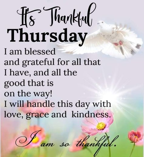 Have A Wonderful Thursday, Wonderful Thursday, Thankful Thursday, I Am Blessed, Spirituality, Good Things, Quick Saves