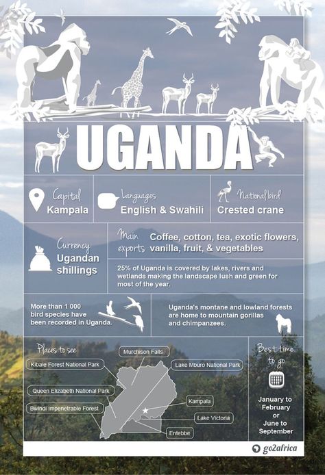 Africa Infographic, Uganda Africa, Uganda Travel, Country Information, Safari Photography, Chobe National Park, Gorilla Trekking, Travel Infographic, African Travel