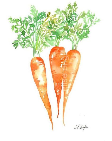 Watercolor Vegetables, Vegetable Painting, Bunny Room, Orange Painting, Watercolor Food, Watercolor Fruit, Watercolour Inspiration, Original Watercolor Art, Watercolor Projects