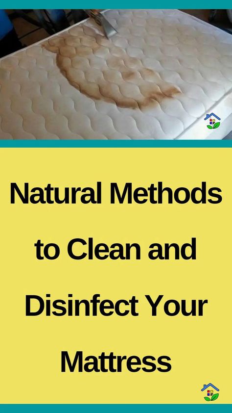 Cleaning your mattress using natural ways not only offers a healthier resting environment, but also promotes better hygiene and increases the longevity of your sleeping pad. Natural mattress cleaning and disinfection not only help eradicate dust mites, allergies, and smells, but it also promotes greater sleep quality and general well-being. You may enjoy a sanitary […] Homemade Mattress Cleaner, Cleaning A Mattress, Matress Cleaning, Diy Mattress Cleaner, How To Clean Bed, Steam Clean Mattress, Homemade Mattress, Cleaning Mattress, Better Hygiene