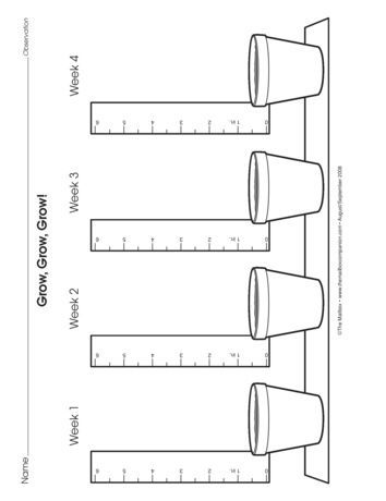 Plant Growth Chart, Plants Kindergarten, Plants Worksheets, General Insurance, Preschool Garden, Measurement Worksheets, Plants Unit, 1st Grade Science, Plant Journal