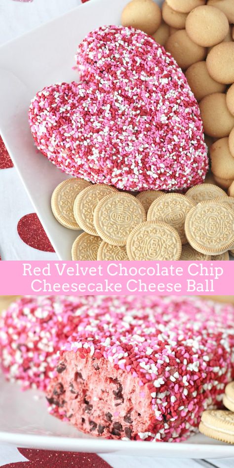 Valentine’s Day practically begs for a red velvet dessert like this red velvet chocolate chip cheesecake cheese ball. This cheese ball gives you all the flavors of red velvet cake and chocolate chip cheesecake rolled into one delicious no bake dessert. #cheeseball #cheesecake #dessertrecipe Dessert Cheeseball, Dessert Cheese Ball, Red Velvet Chocolate, Red Velvet Desserts, Chocolate Chip Cheesecake, Sweet Dips, Valentine Desserts, Cheese Ball Recipes, Valentines Day Food